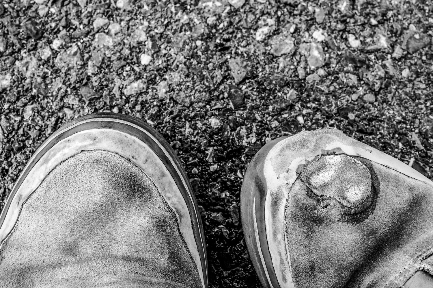 Sneakers and Skate